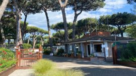 Prezzi, Offerte e dettagli: Camping Lilly Pineta